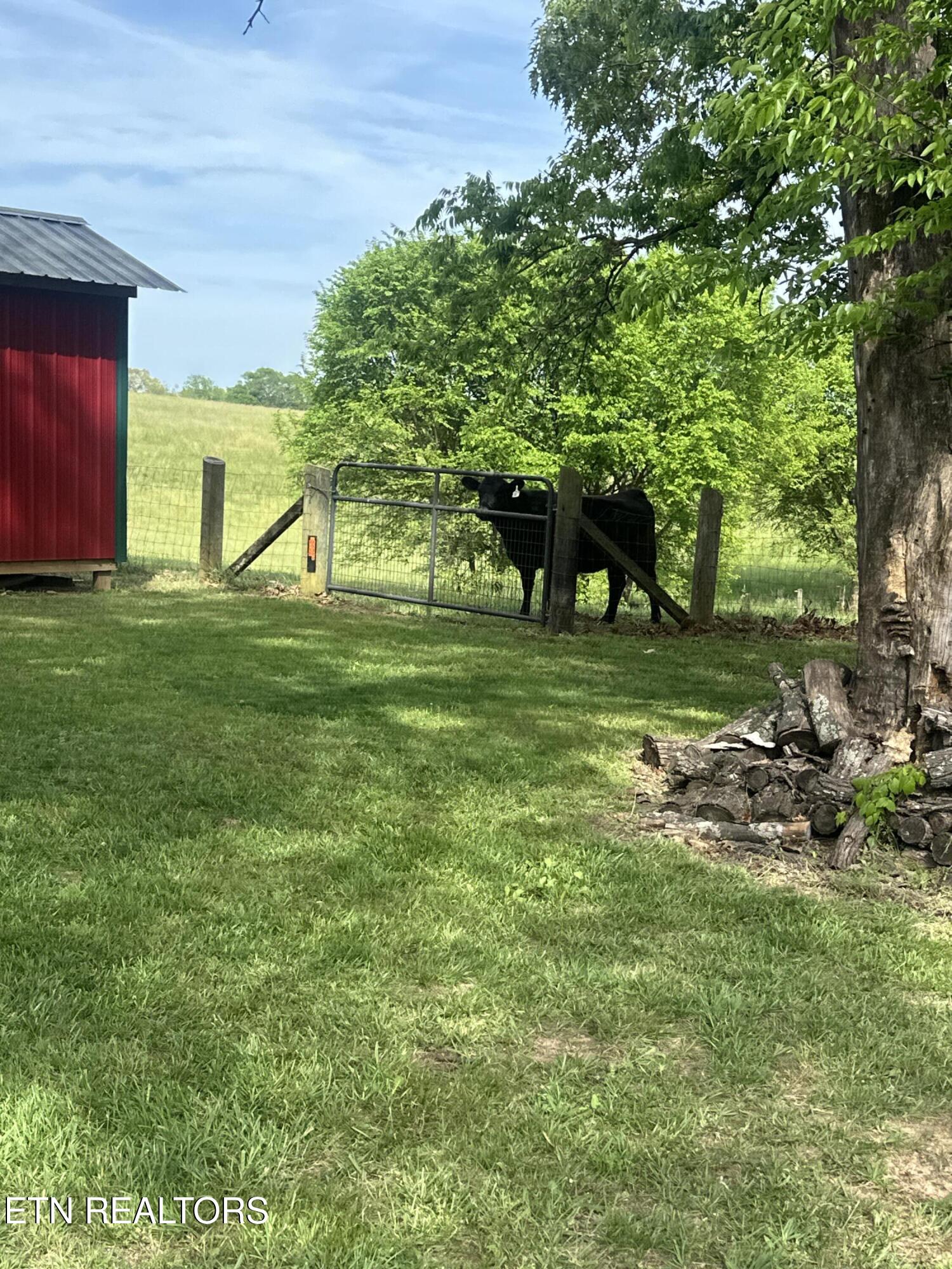 1730 Silver City Road Whitesburg TN 37891