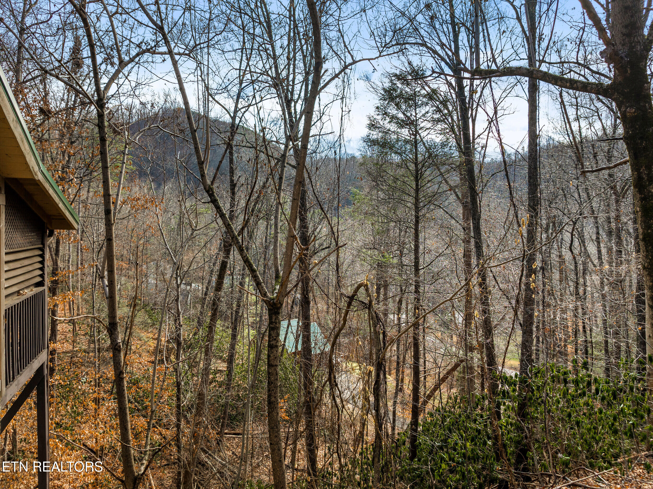 514 Laural Mountain Road Gatlinburg TN 37738
