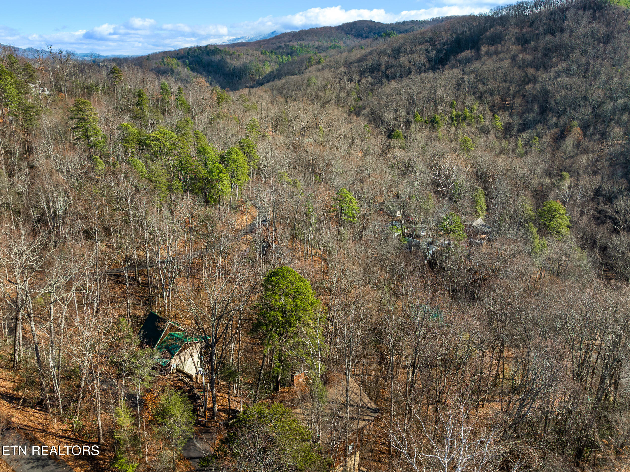 514 Laural Mountain Road Gatlinburg TN 37738