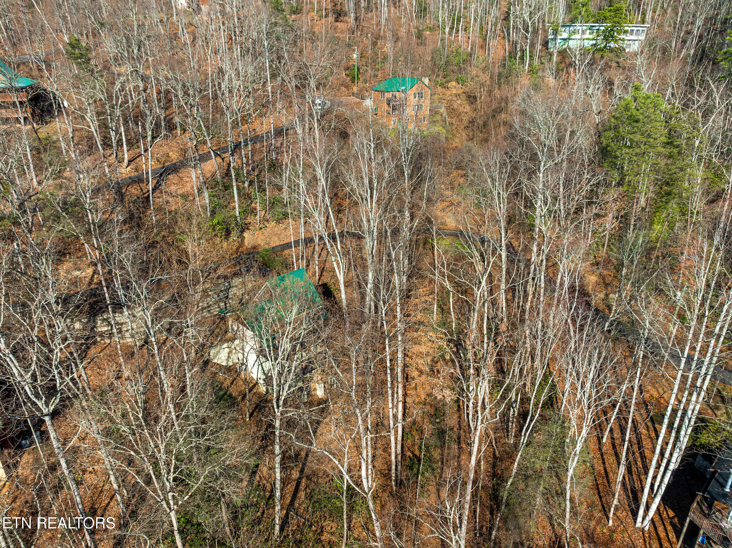 514 Laural Mountain Road Gatlinburg TN 37738
