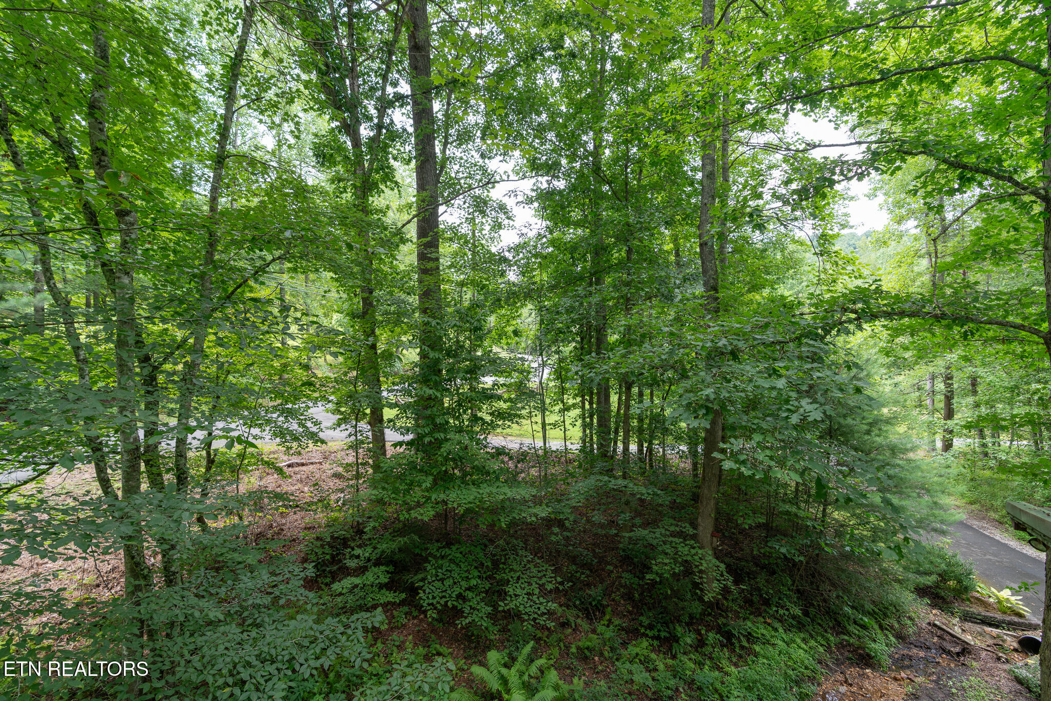3905 Fern Brook Way Sevierville TN 37862