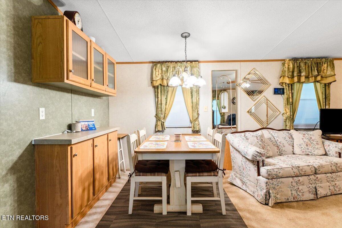 1547 Alder Springs Road Lafollette TN 37766