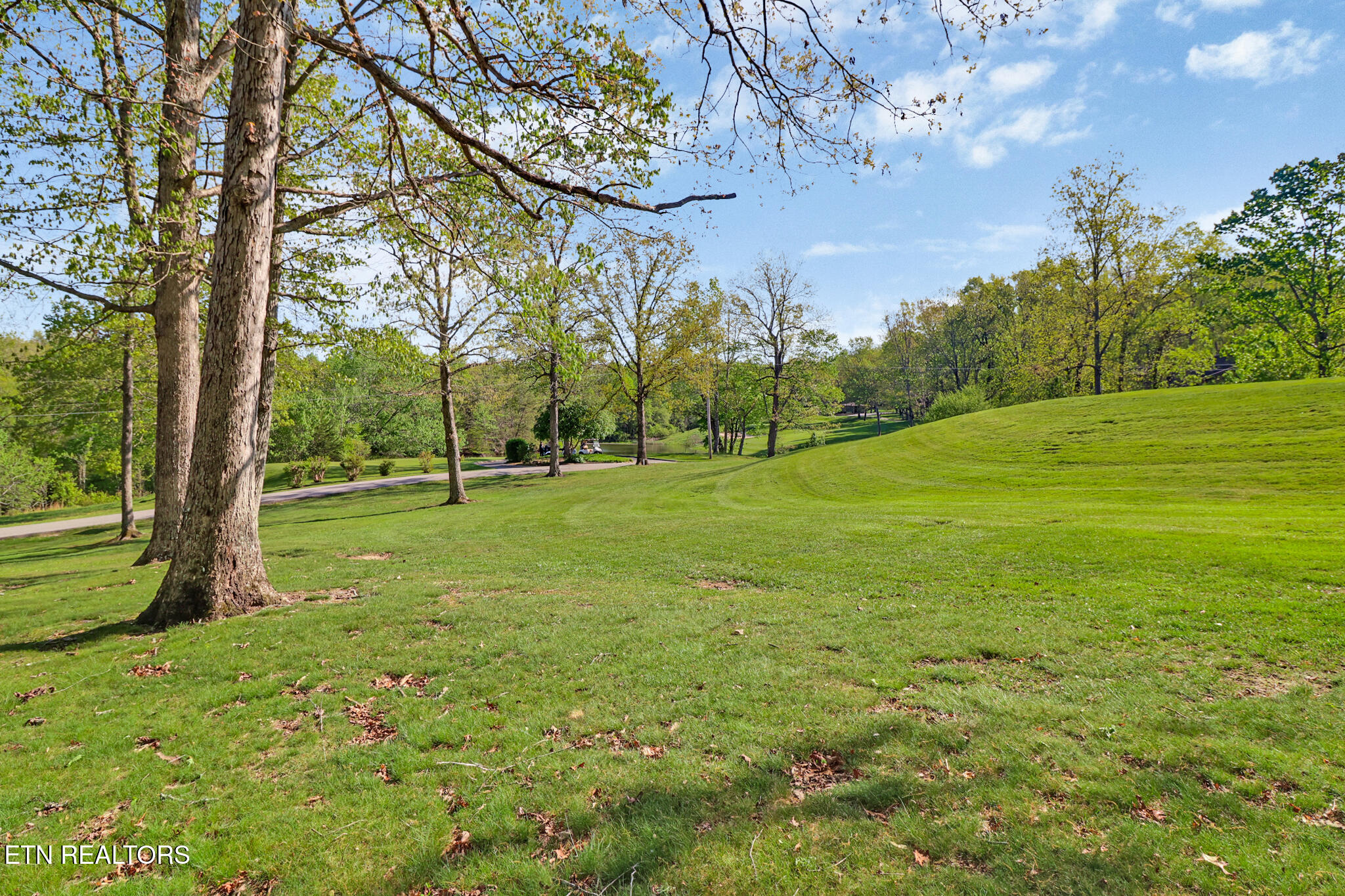 203 Snead Drive Crossville TN 38558