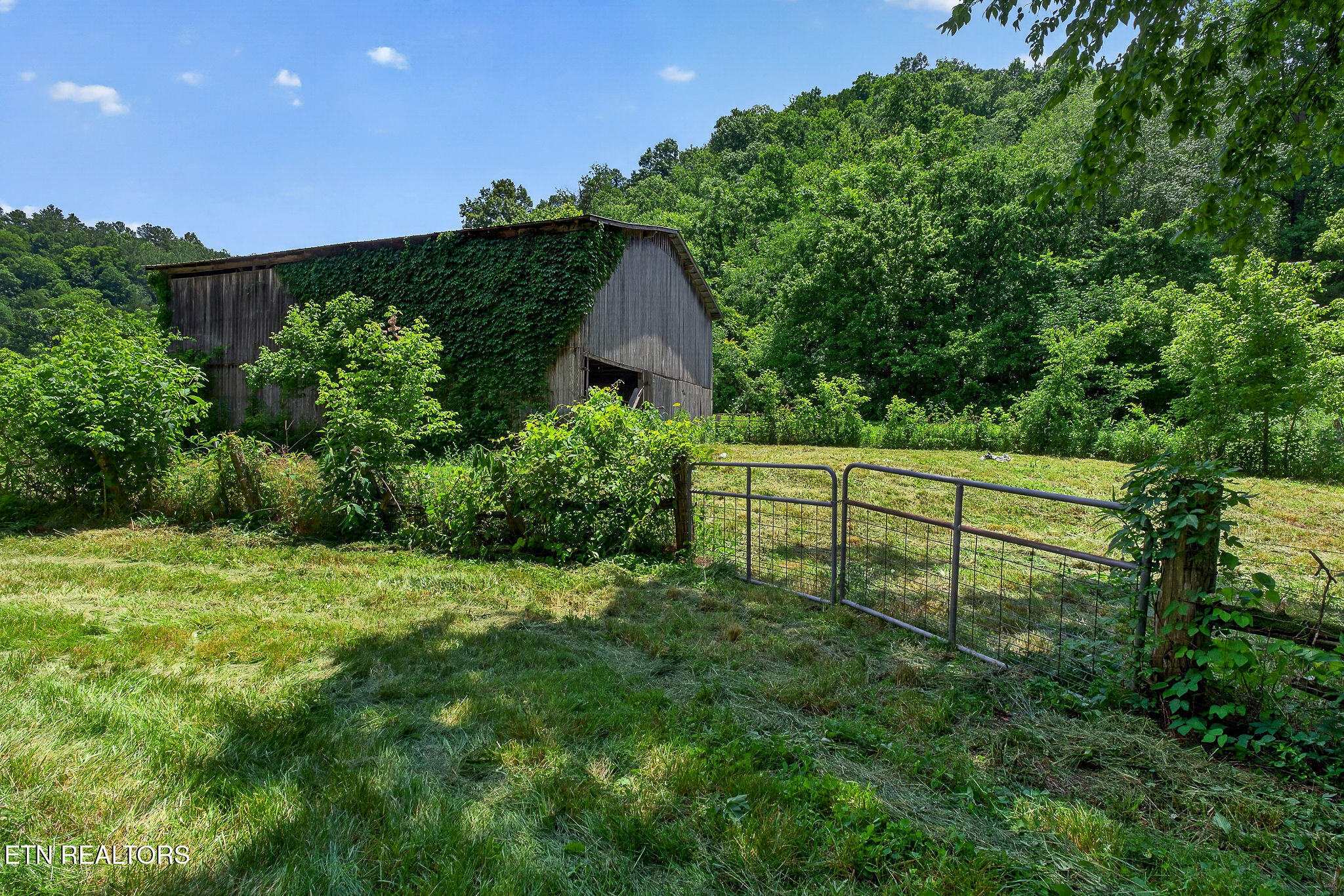 283 Hunting Creek Road Whitleyville TN 38588