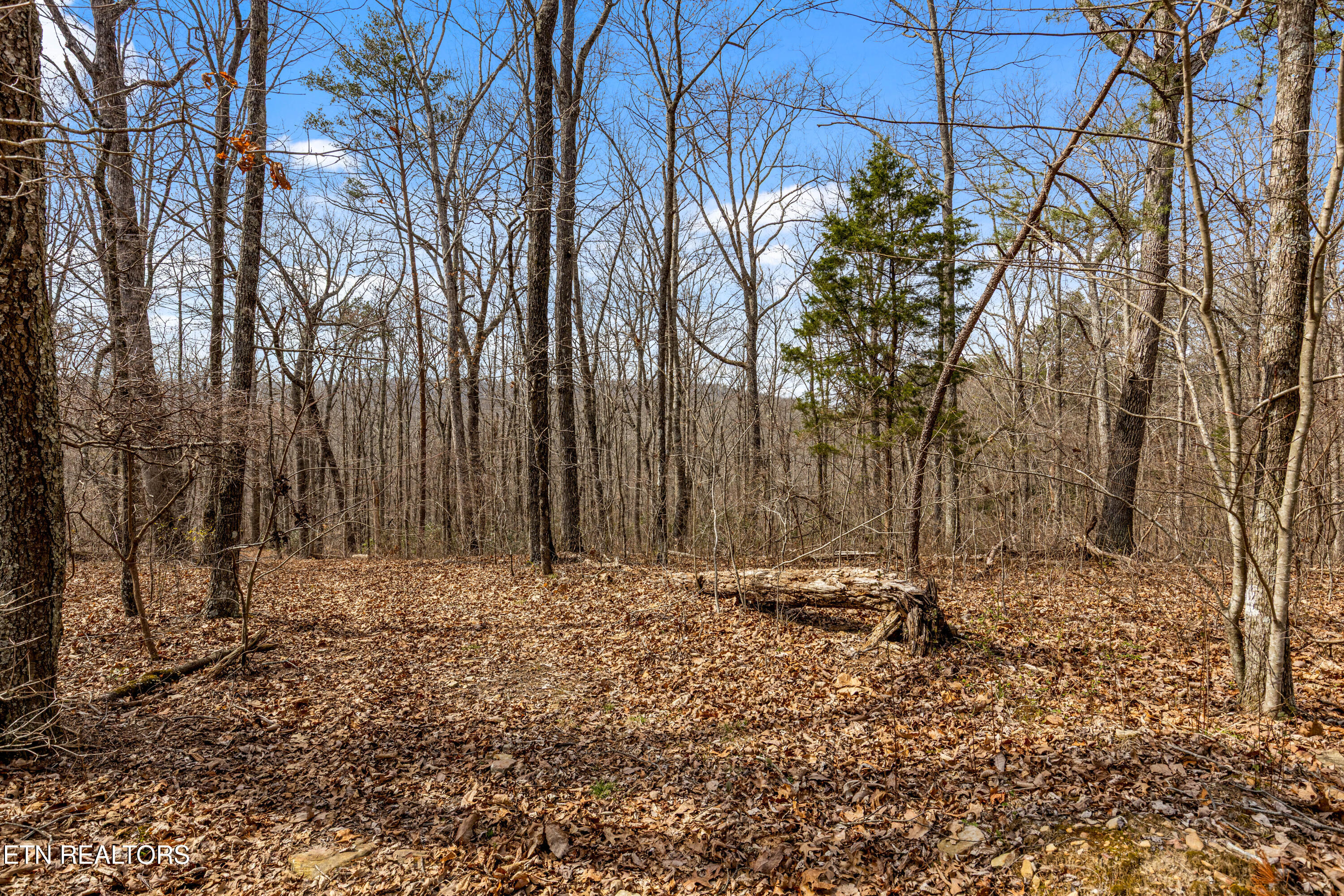 35290 Sr 30 Pikeville TN 37367