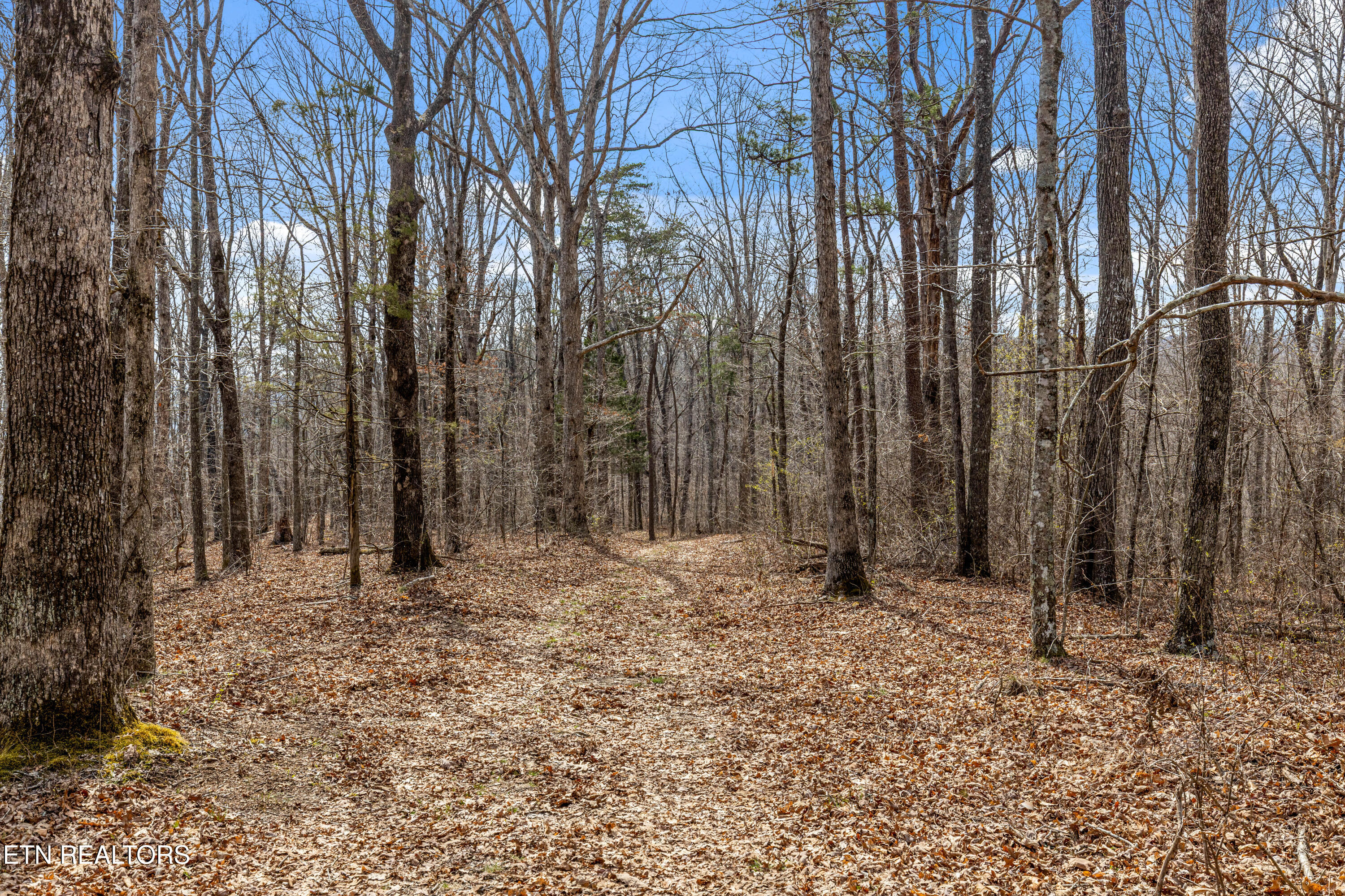 35290 Sr 30 Pikeville TN 37367