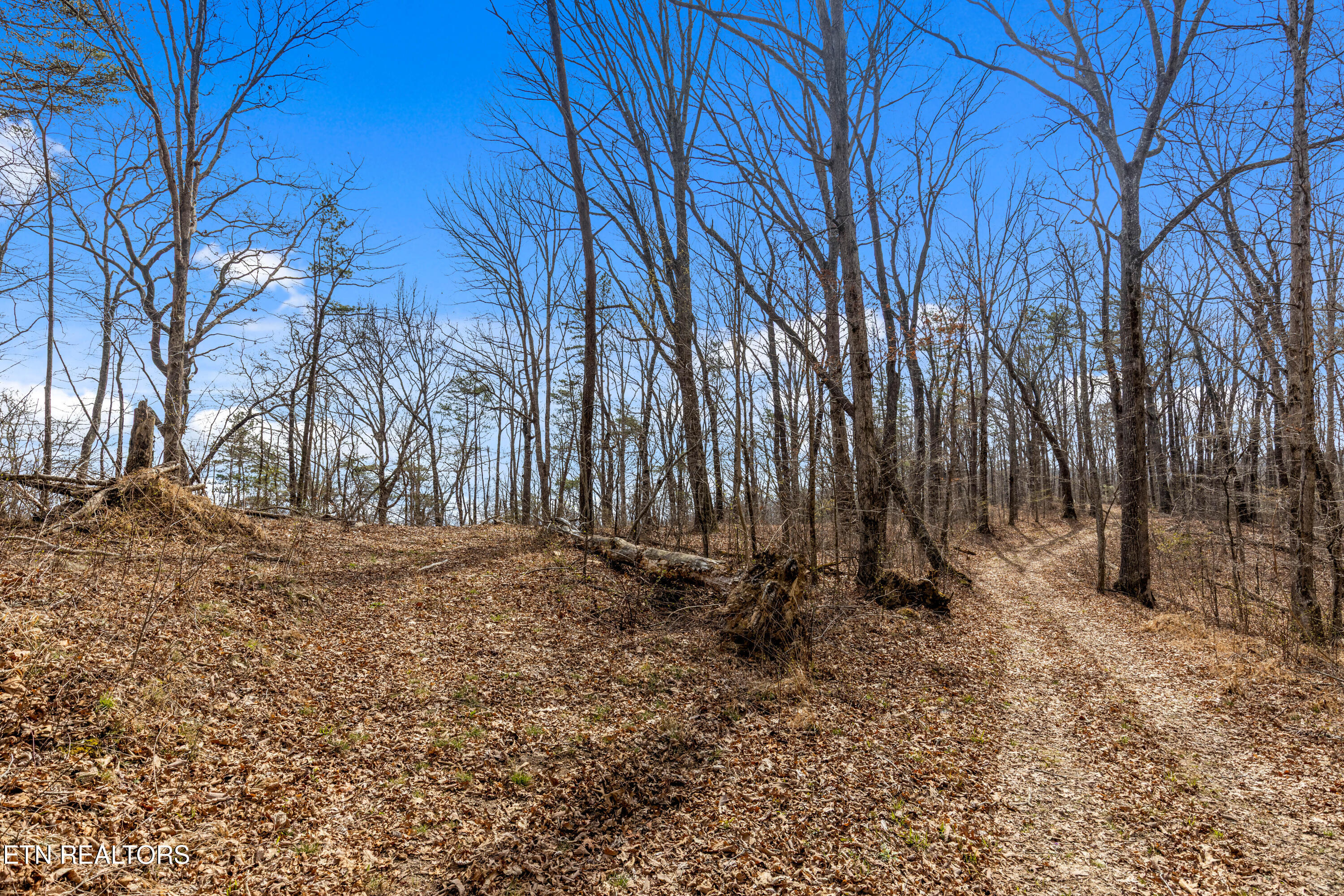 35290 Sr 30 Pikeville TN 37367