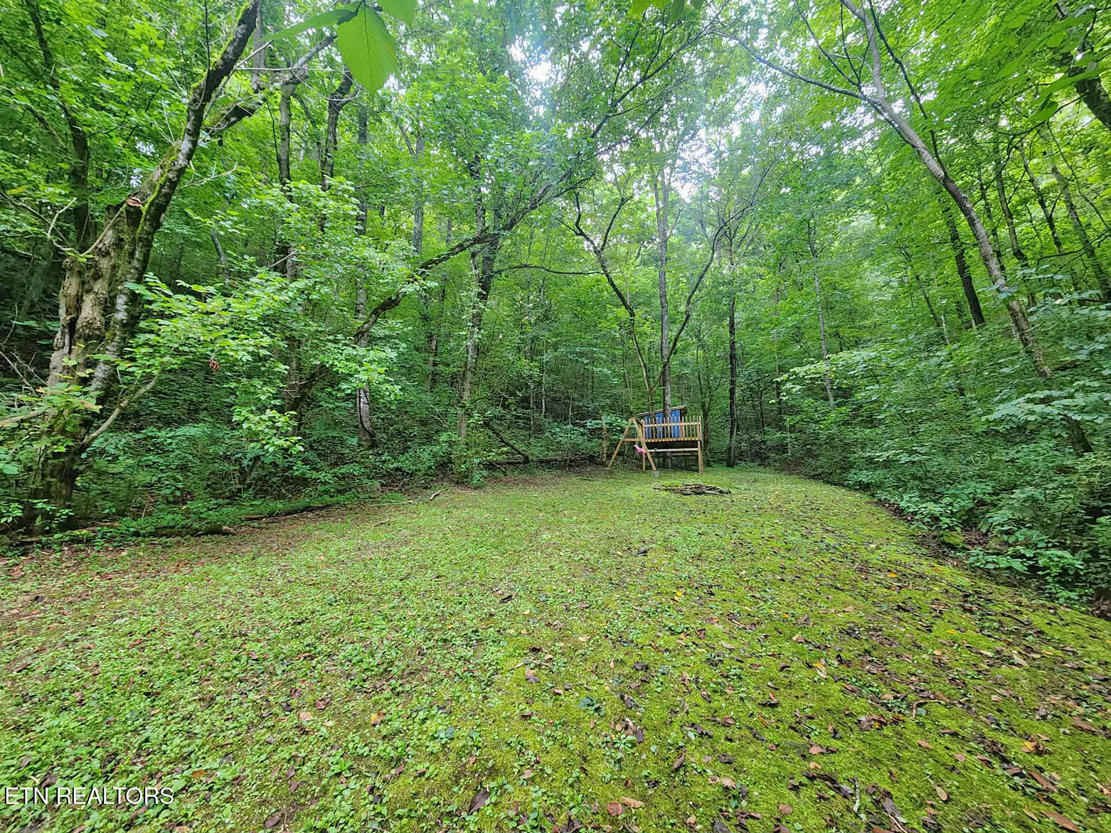 890 Indian Gap Road Sevierville TN 37876