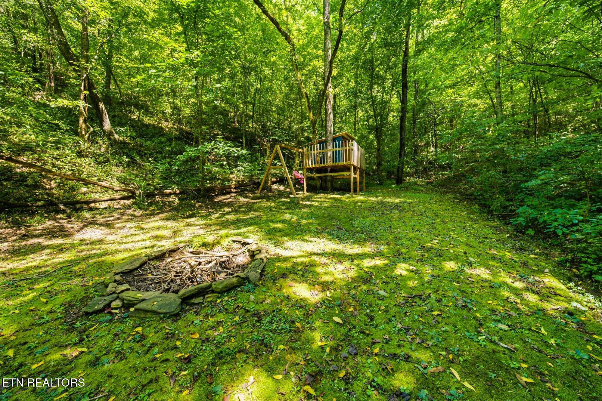 890 Indian Gap Road Sevierville TN 37876