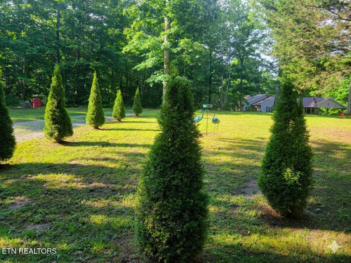228 Paul Wheeler Lane Jamestown TN 38556