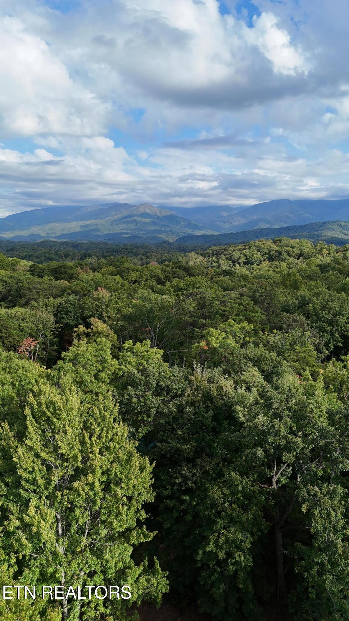 2213 E View Drive Sevierville TN 37876