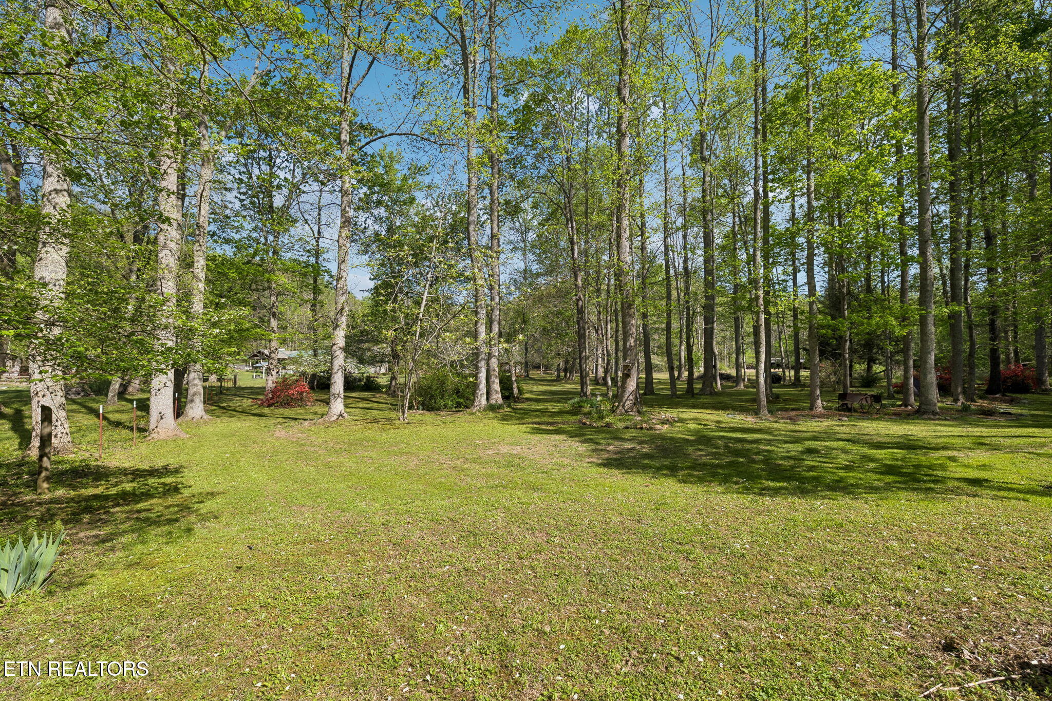 1532 Turkey Creek Road Tellico Plains TN 37385