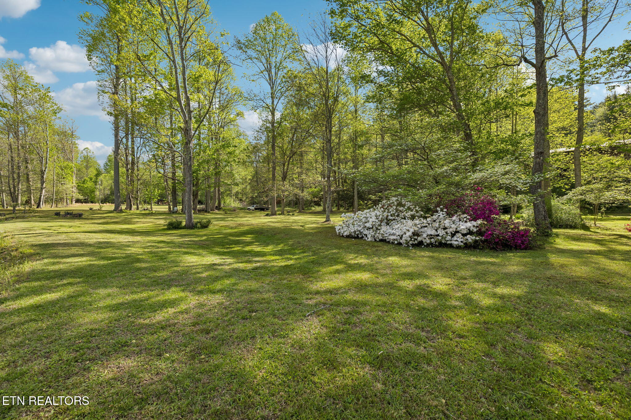 1532 Turkey Creek Road Tellico Plains TN 37385