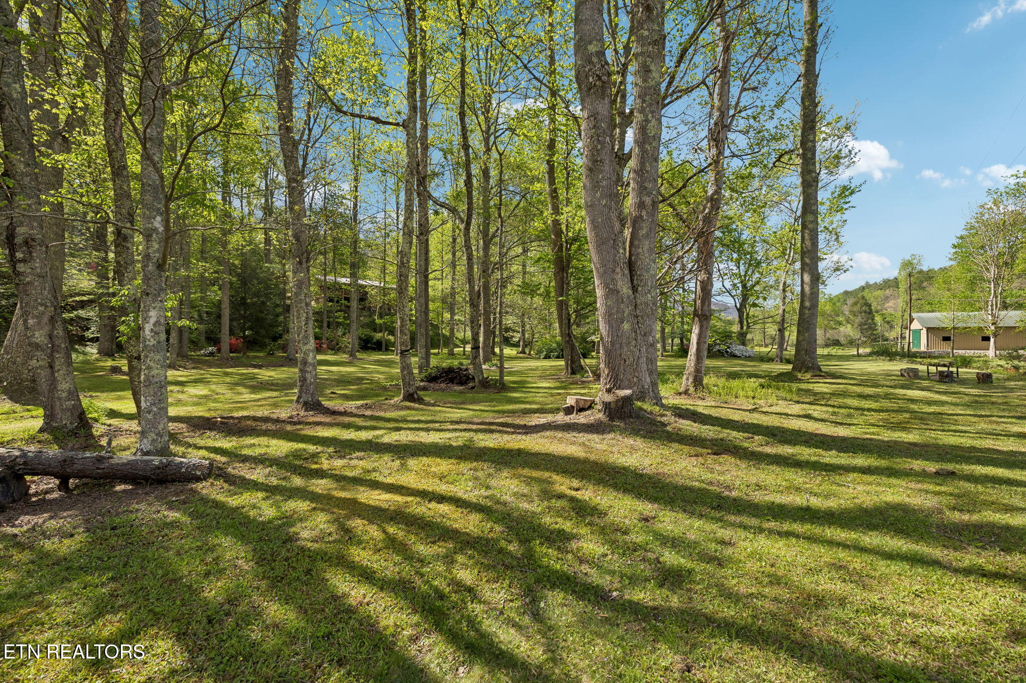 1532 Turkey Creek Road Tellico Plains TN 37385