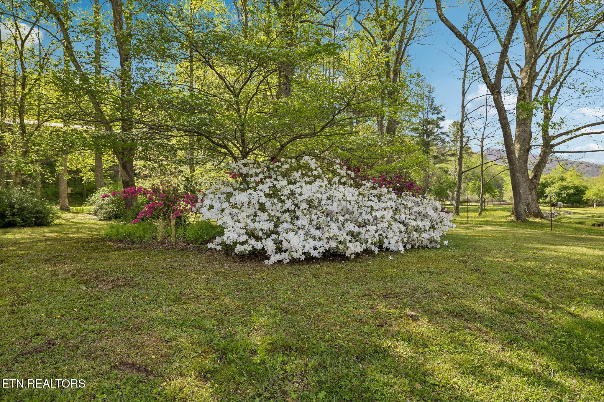 1532 Turkey Creek Road Tellico Plains TN 37385