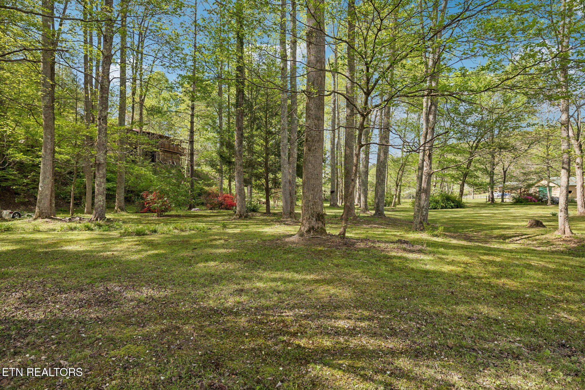 1532 Turkey Creek Road Tellico Plains TN 37385