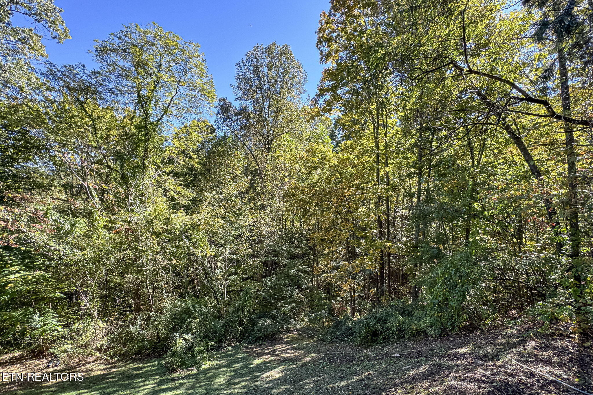 3514 Olde Tyme Way Sevierville TN 37862
