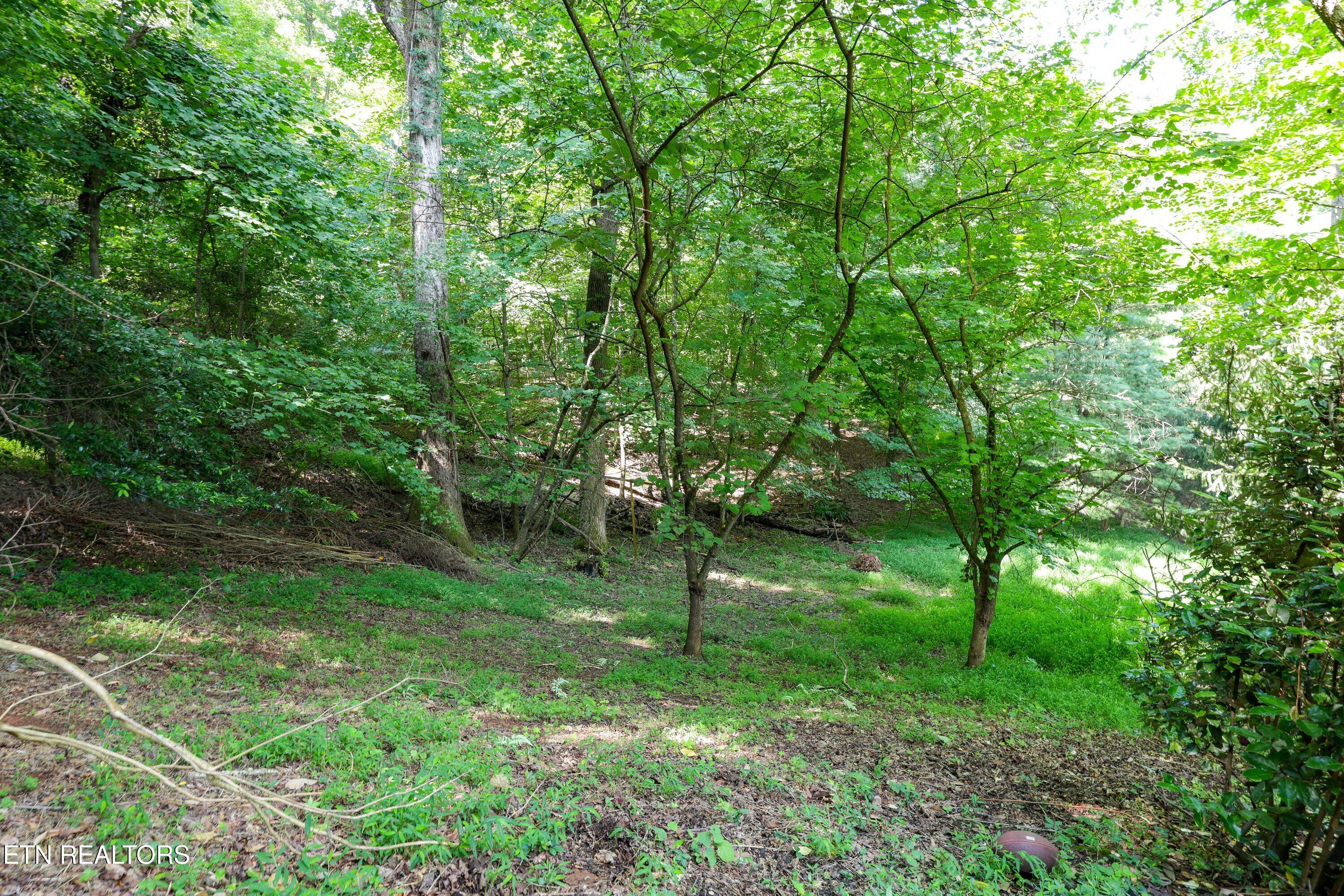 5520 Heathrow Drive Knoxville TN 37919