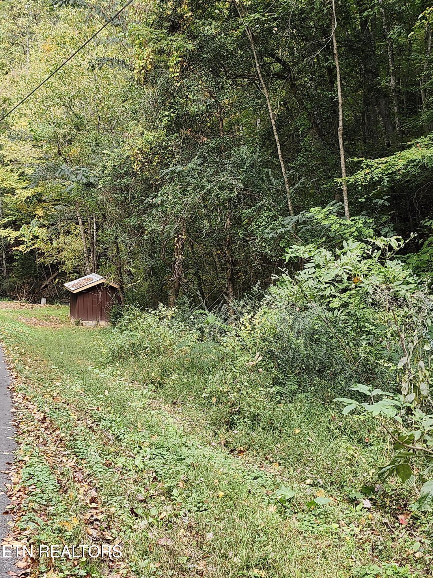4121 S Boogertown Road Pigeon Forge TN 37876