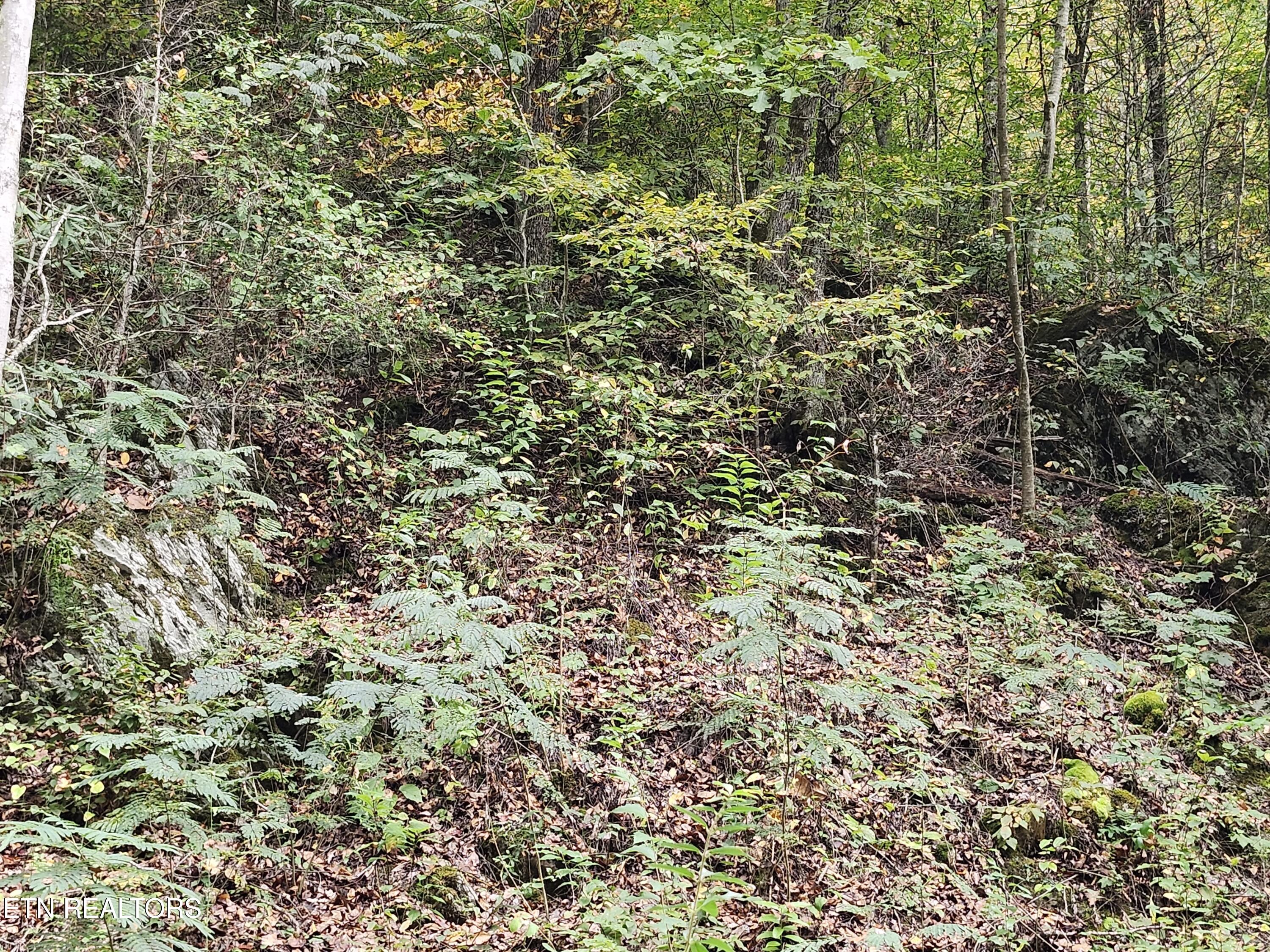4121 S Boogertown Road Pigeon Forge TN 37876