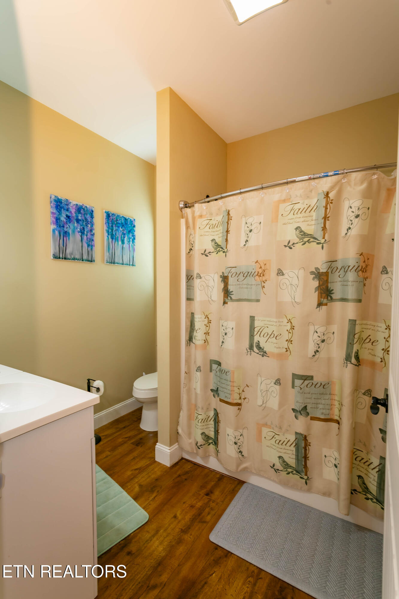 3446 Cove Meadows Drive Sevierville TN 37862