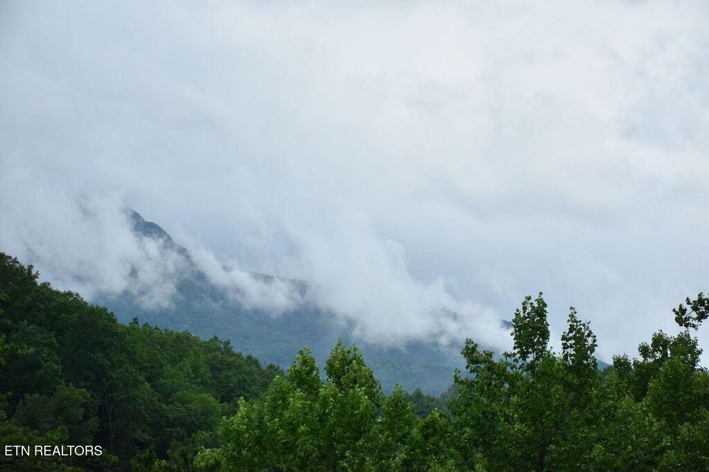 622 Coronation Street Gatlinburg TN 37738