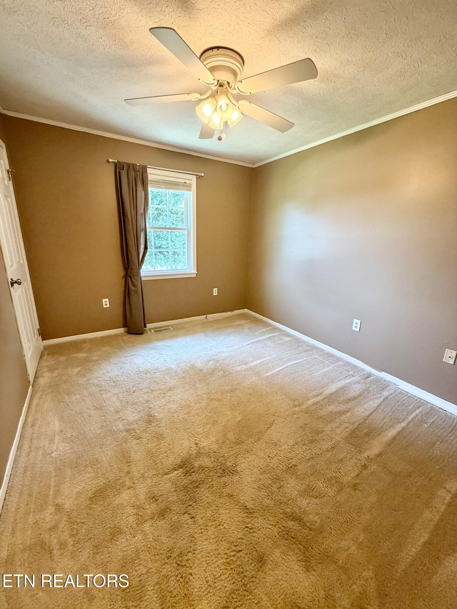 259 Cardwell Drive Tazewell TN 37879