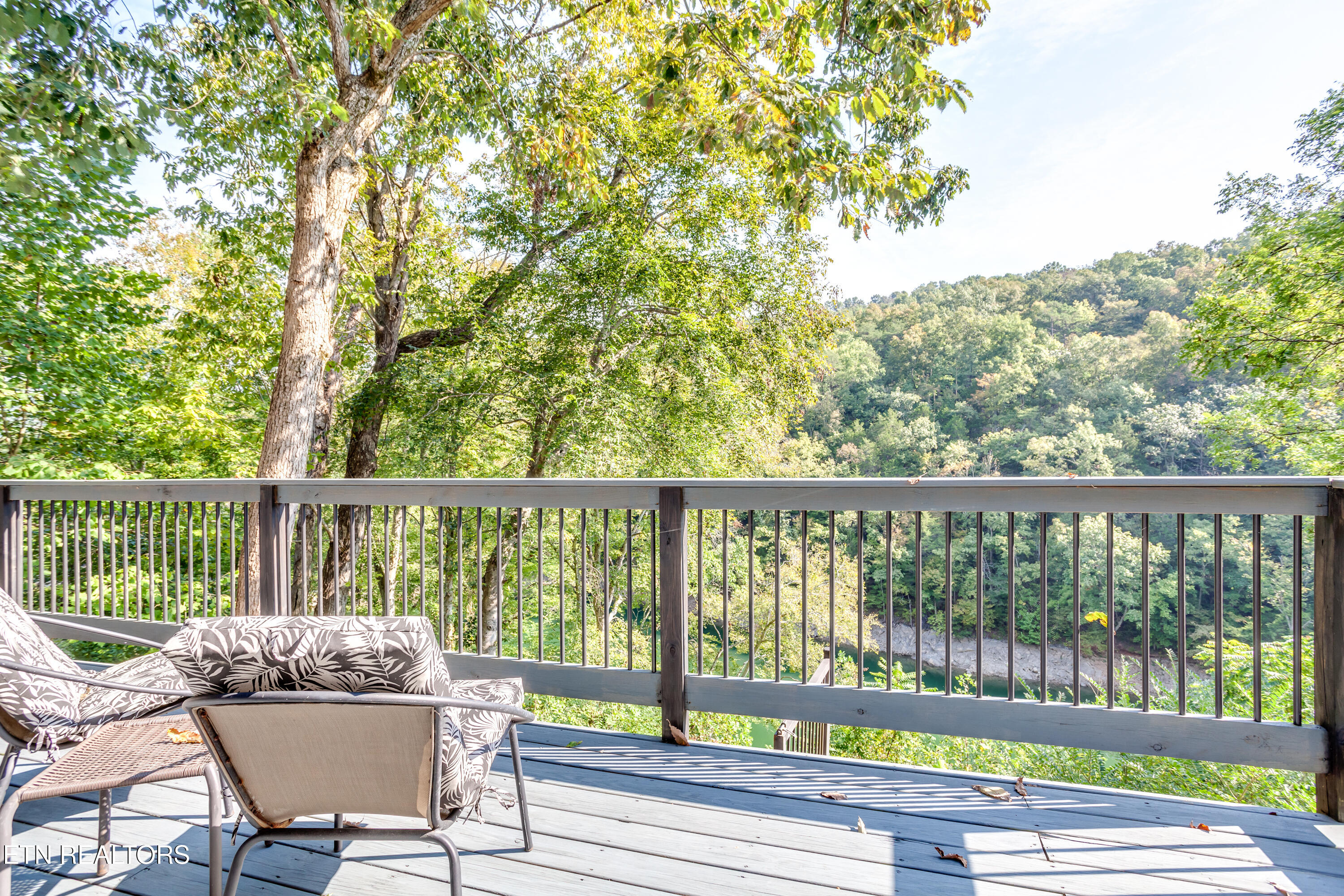 1903 Hickory Pointe Lane Maynardville TN 37807