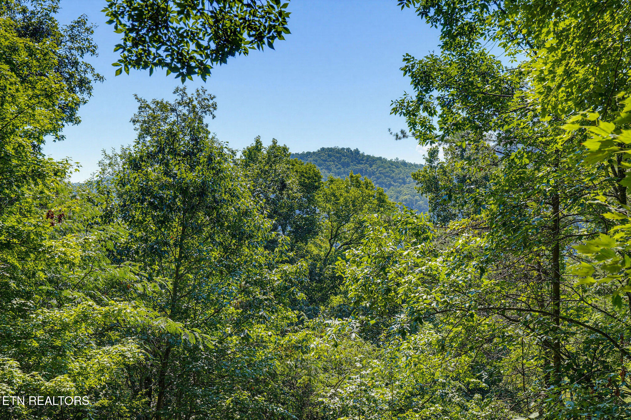 2934 Heavens Path Way Sevierville TN 37862