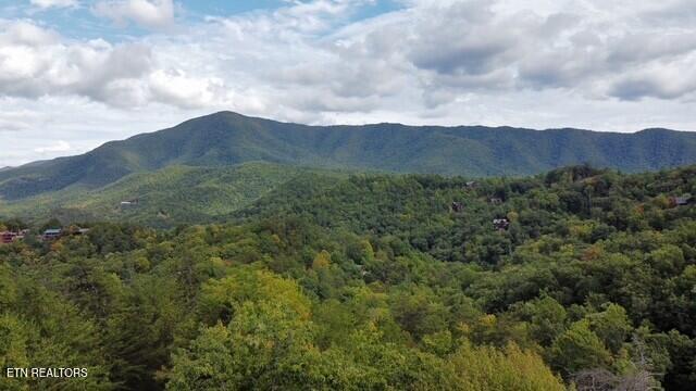 252 Round Top Way Sevierville TN 37862