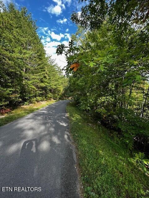 252 Round Top Way Sevierville TN 37862