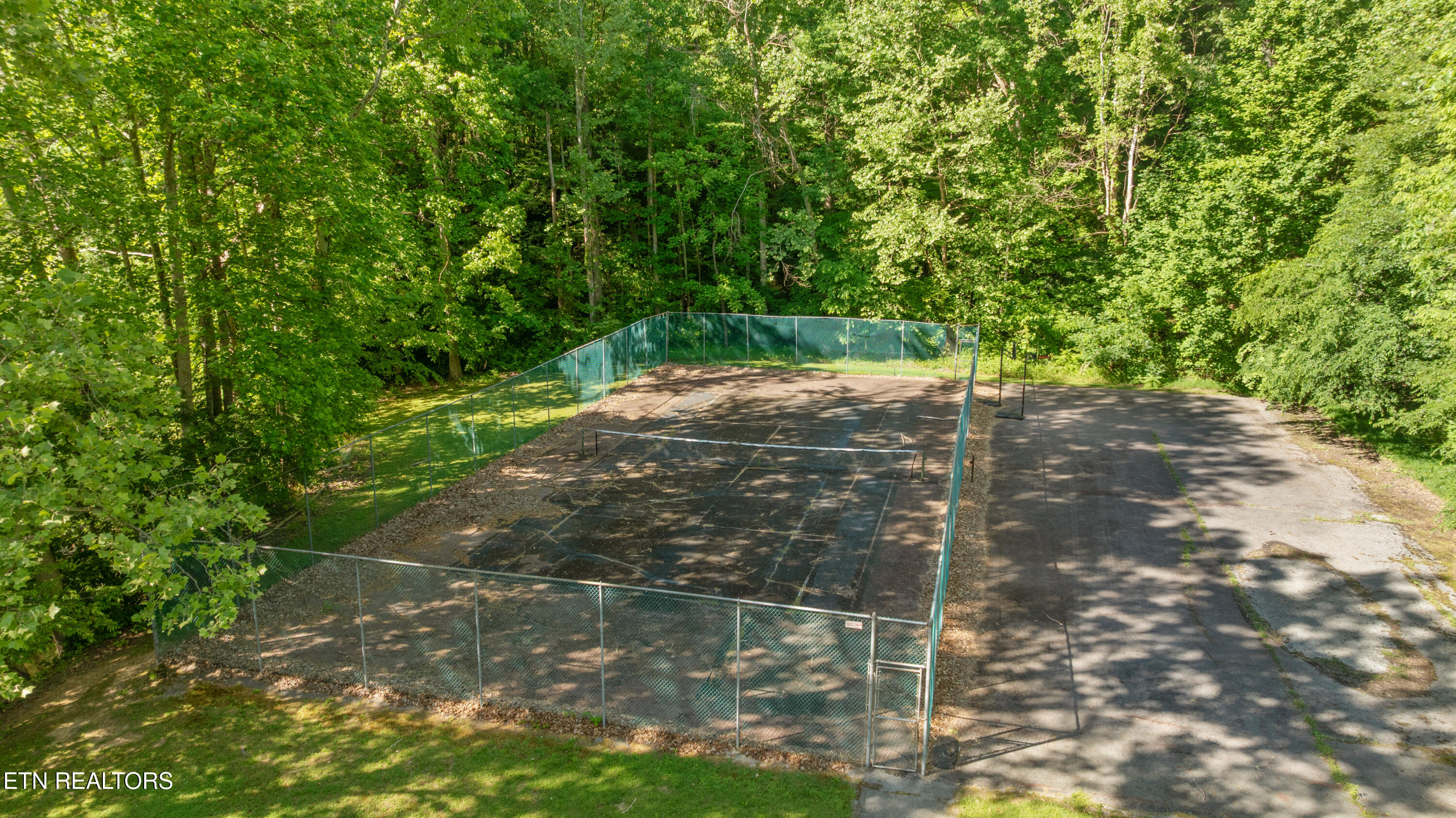 4304 Little Creek Way Cosby TN 37722