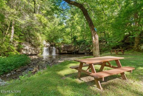 4304 Little Creek Way Cosby TN 37722