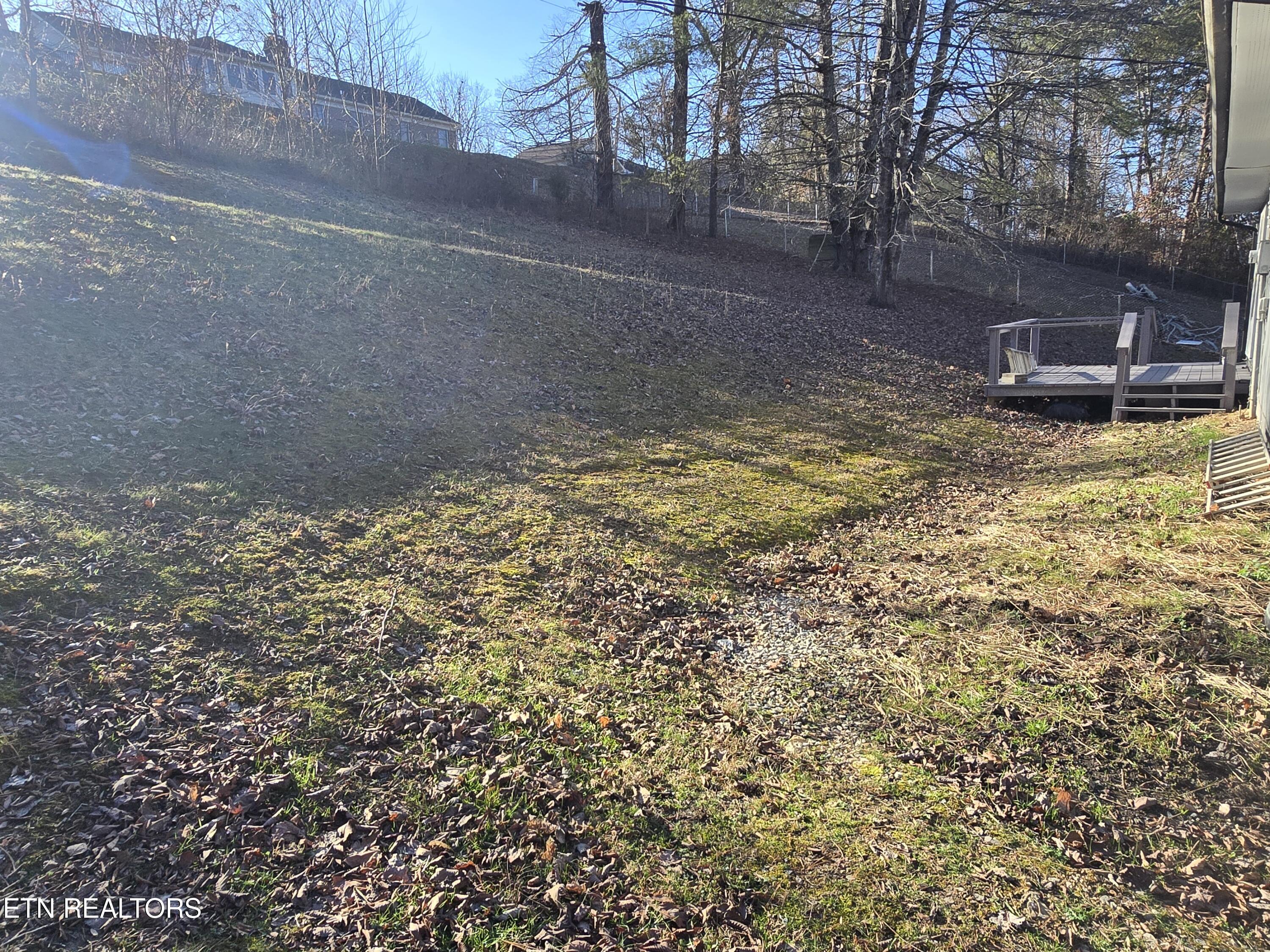 216 Reagan Street Harrogate TN 37752