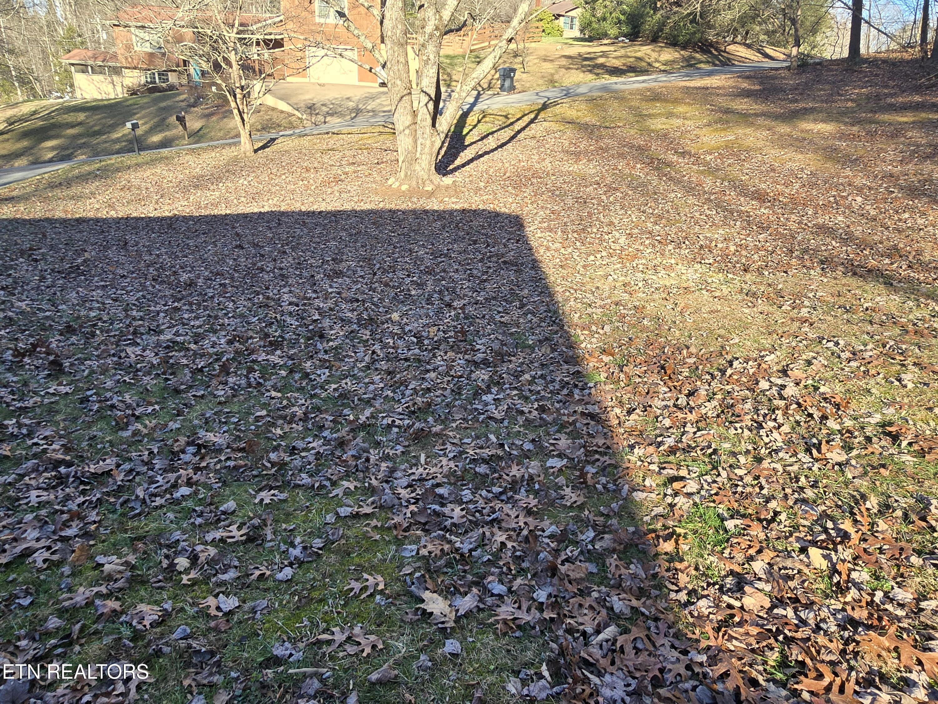 216 Reagan Street Harrogate TN 37752