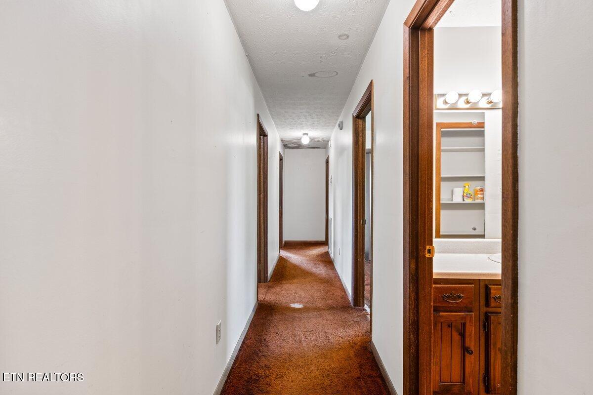 118 Big Valley Road Andersonville TN 37705