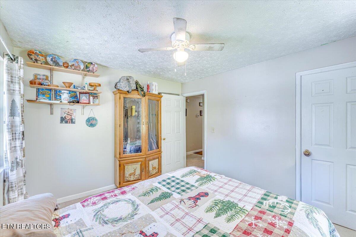 1202 E Bullrun Valley Drive Powell TN 37849
