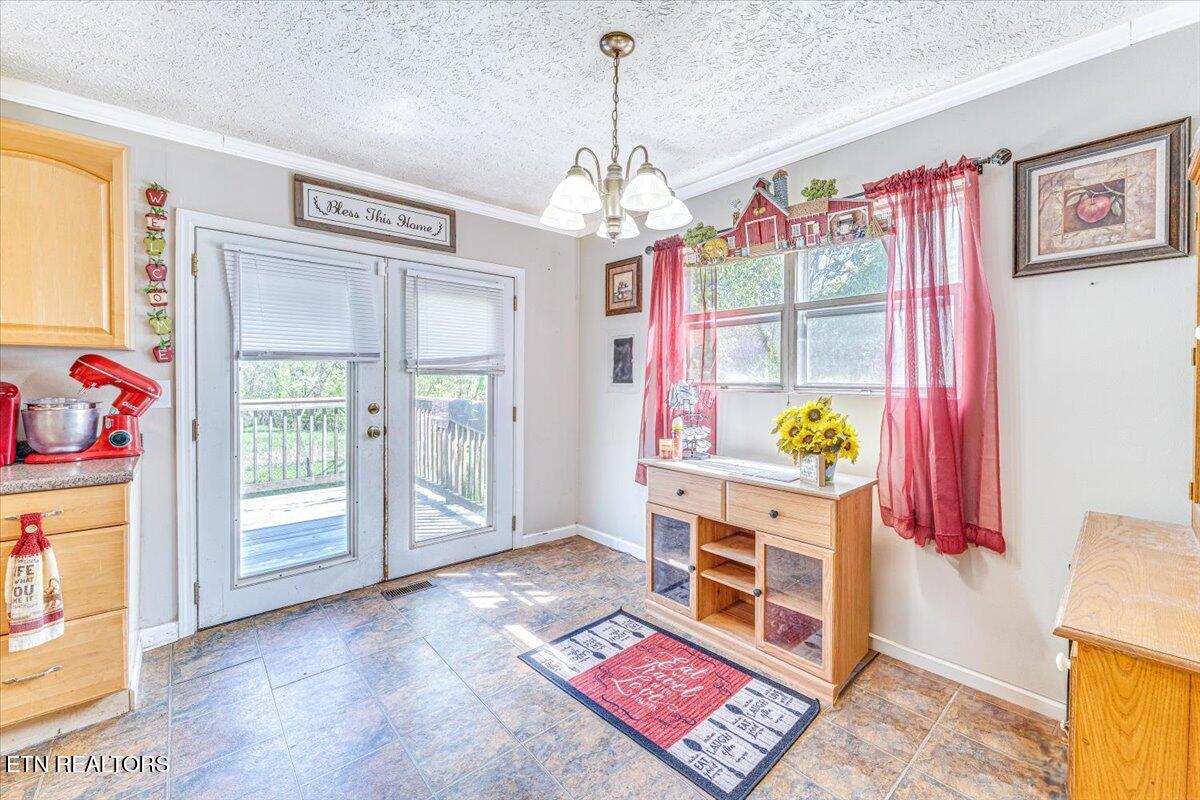 1202 E Bullrun Valley Drive Powell TN 37849