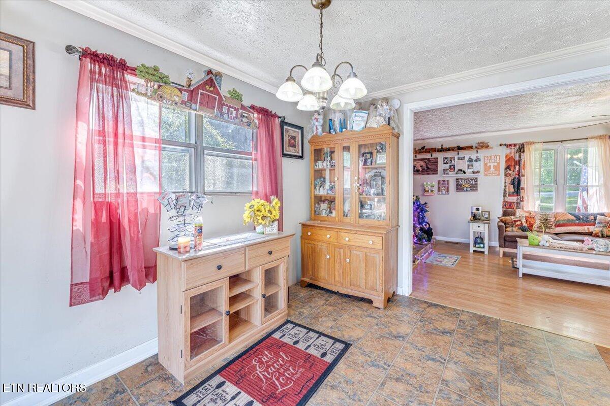 1202 E Bullrun Valley Drive Powell TN 37849