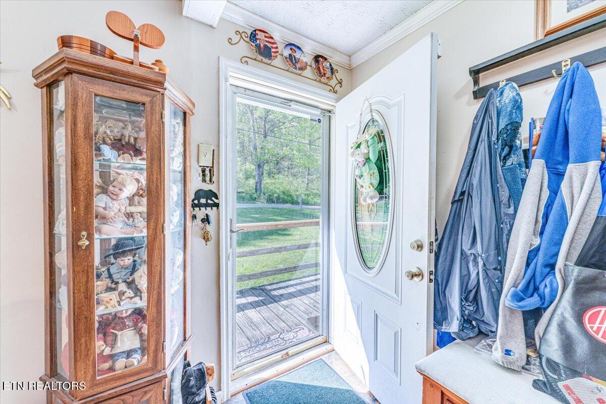 1202 E Bullrun Valley Drive Powell TN 37849