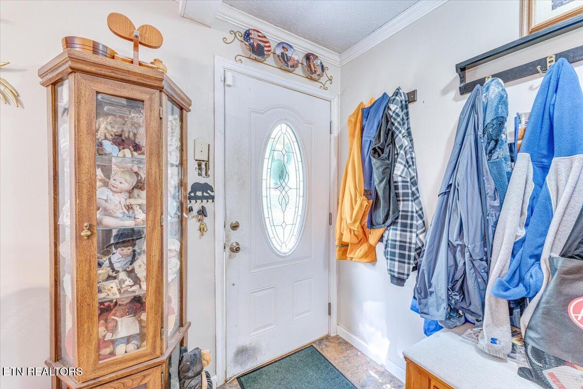 1202 E Bullrun Valley Drive Powell TN 37849