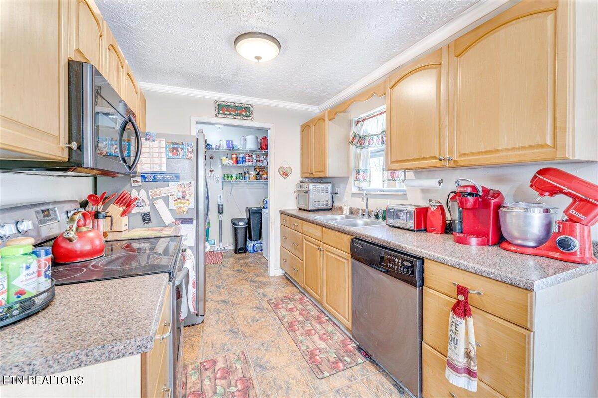1202 E Bullrun Valley Drive Powell TN 37849