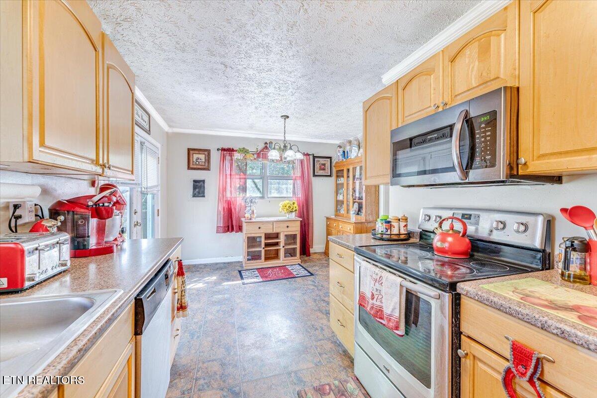 1202 E Bullrun Valley Drive Powell TN 37849