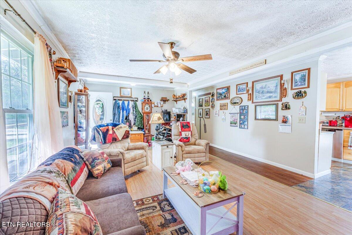 1202 E Bullrun Valley Drive Powell TN 37849