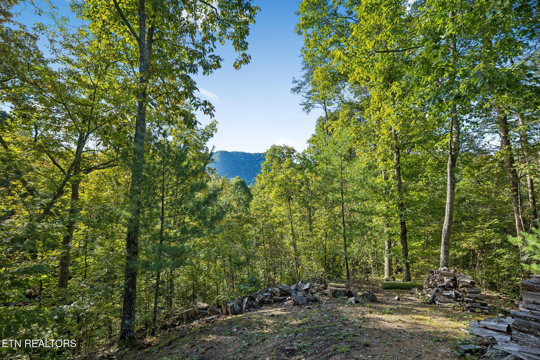 3040 Patty View Way Pigeon Forge TN 37862