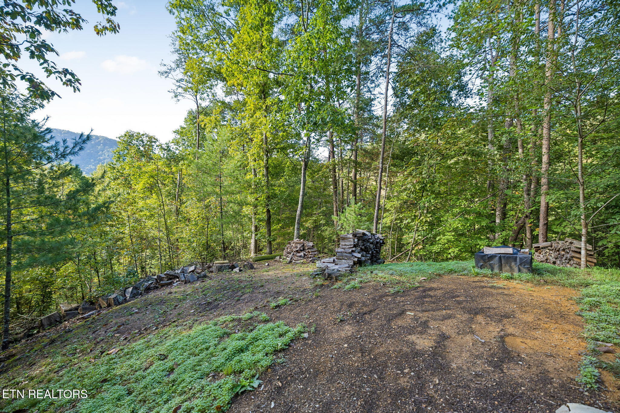 3040 Patty View Way Pigeon Forge TN 37862