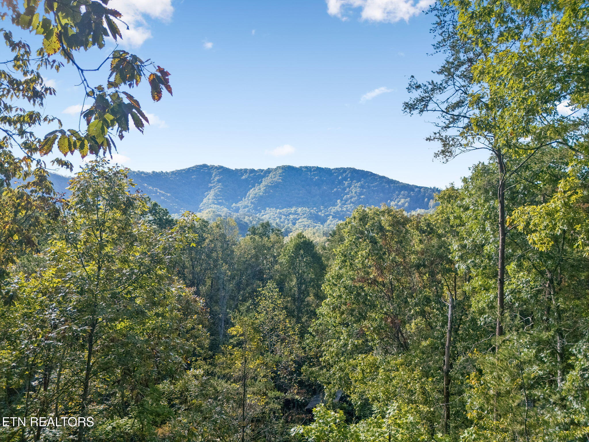 3040 Patty View Way Pigeon Forge TN 37862