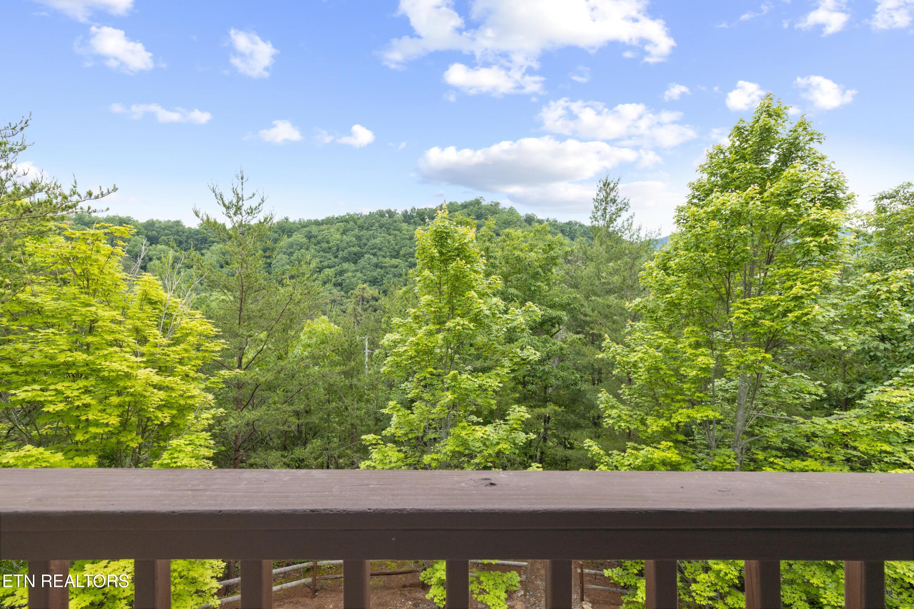3660 Marian Lake Way Sevierville TN 37862