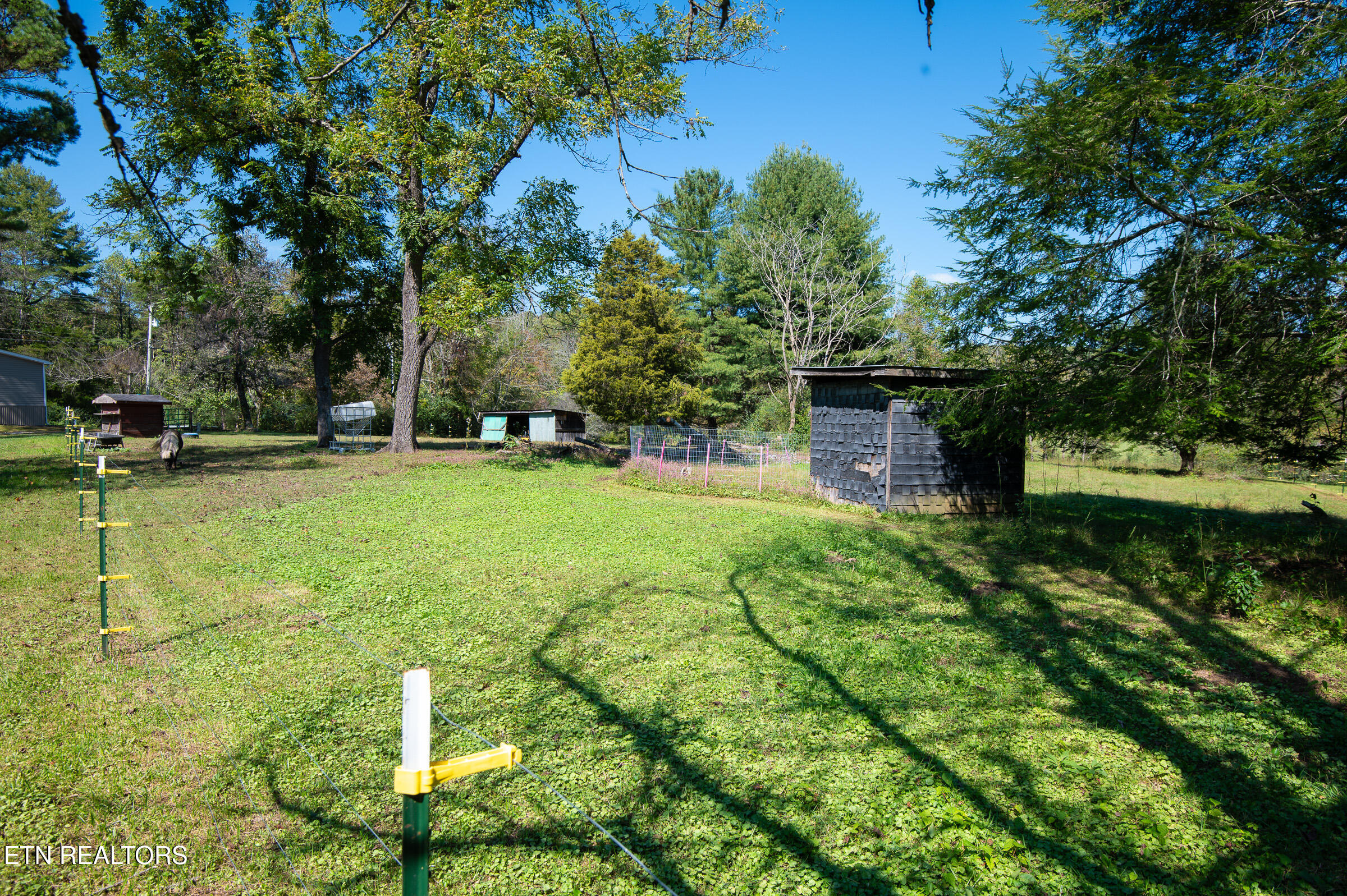451 Shady Grove Road Lancing TN 37770