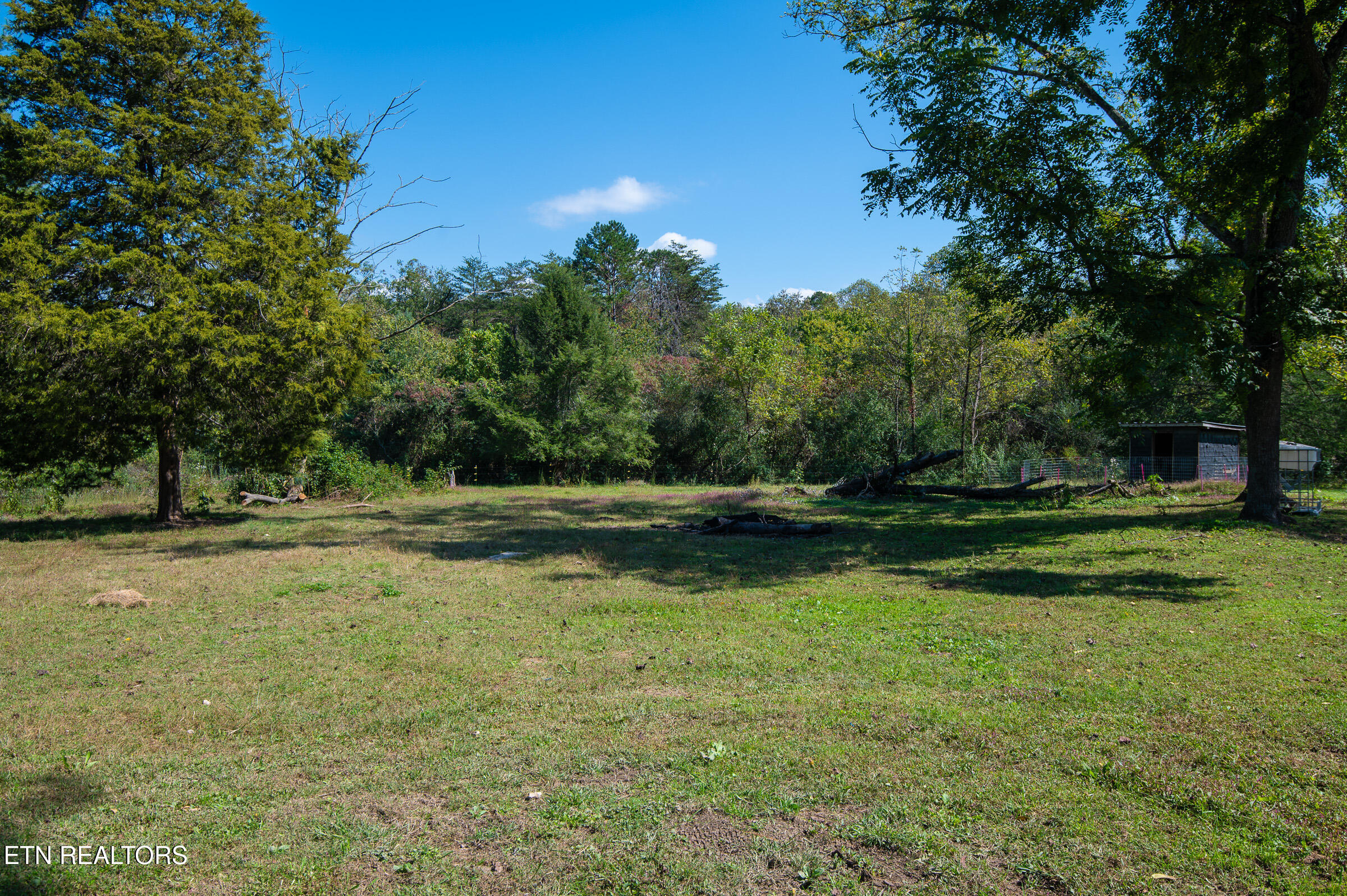 451 Shady Grove Road Lancing TN 37770
